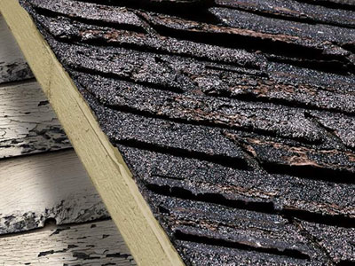 Mike Kenny Roofing Co. Images